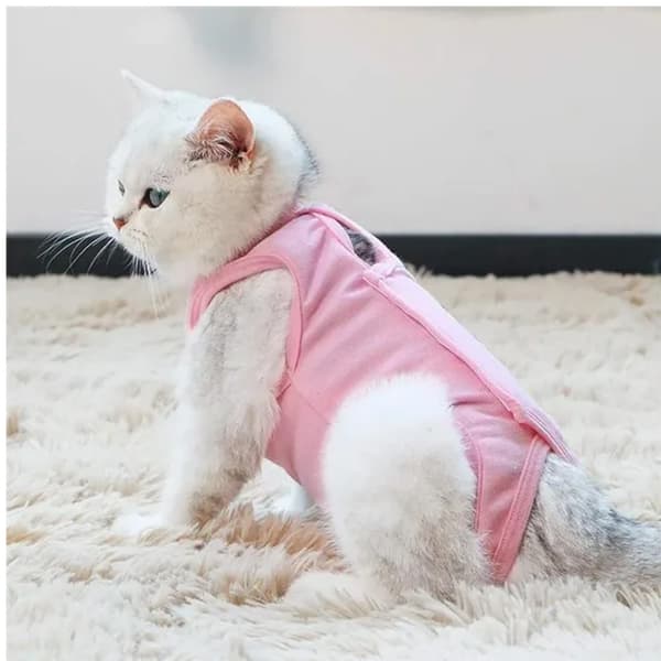 Kattväst Medicinsk husdjurströja för katt, rosa
