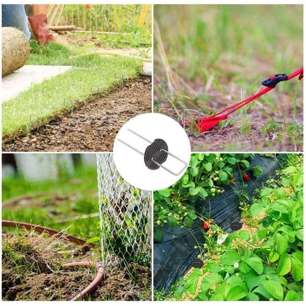 Förpackning med 30 galvaniserade stålspikar för ogräsbekämpning med plastlock. Bredd: 10 cm / Höjd: 5 cm