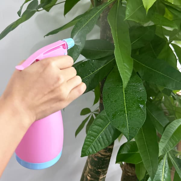Stykker 500ML Sprayflaske Tomme Påfyllbare Flasker (Ris-rosa-blå)