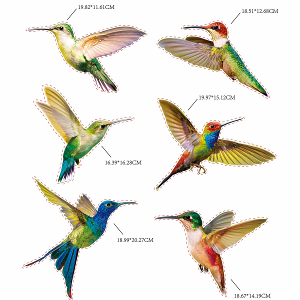 18 stycken Stora Hummingbird-fönster klamrar sig fast mot kollision