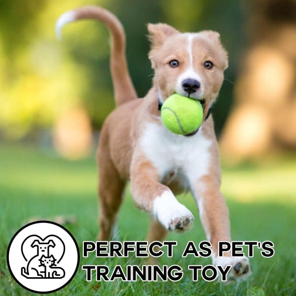 Tennispallo -Koiran lelupallo -Erinomainen tennisharjoitteluun