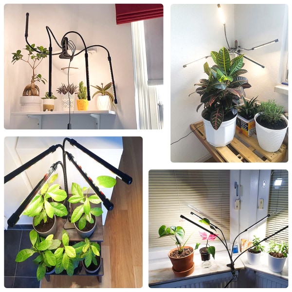 Plantelys, Grolys til indendørs planter, 80 LED'er Led Grolys 660nm Fuld spektrum, 4 hoveder Grolampe med timer til frøplanter og sukkulenter