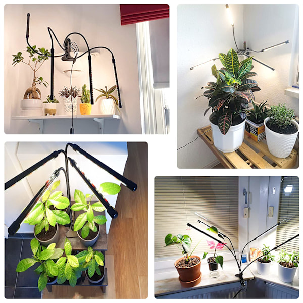 Plantelys, vekstlys for innendørs planter, 80 LED-vekstlys 660nm fullspektrum, 4 hoder vekstlampe med timer for frøplanter og sukkulenter