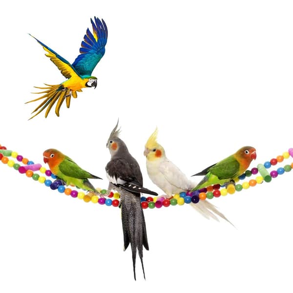 Fuglelegetøj til papegøjer, stige, gynge, regnbuebro træning til papegøjer, parakitter, conures, kakaduer