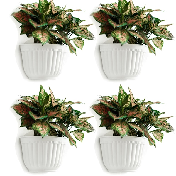 Paket Resin Vertikala Vägghängande Planteringskrukor för Trädgård Vardagsrum Fönster Växter Blommor Örter Balkong Räcke Hylla Staket Spaljé Dekor