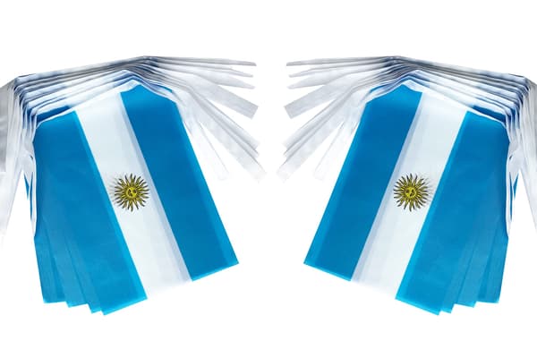 2 pak VM top 32 lande flag (Argentina) Argentina