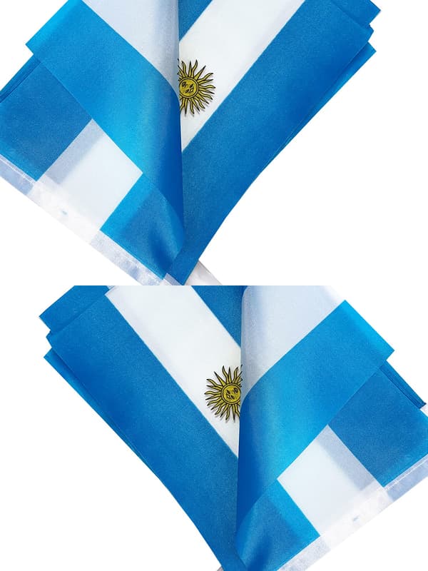2 pak VM top 32 lande flag (Argentina) Argentina