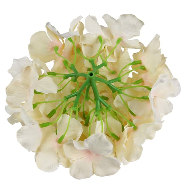 Jouluhydrangea Tekokukat 10 kpl (Samppanja) champagne