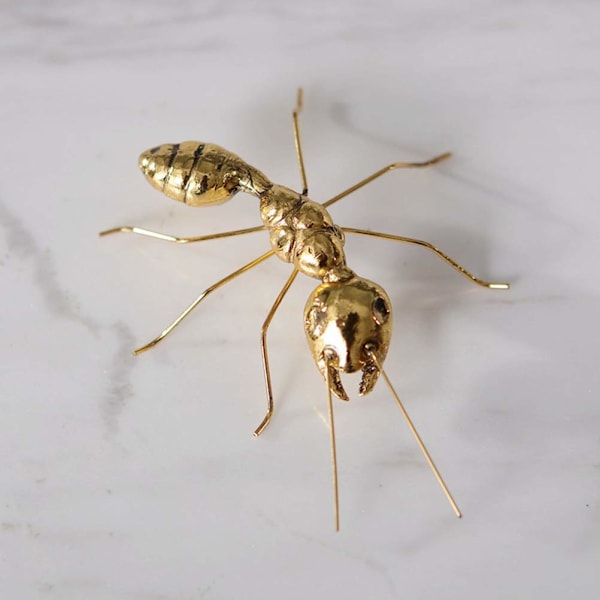 Guld Myre Skulptur Messing Metal Dekoration 2.3x3.6in Ants