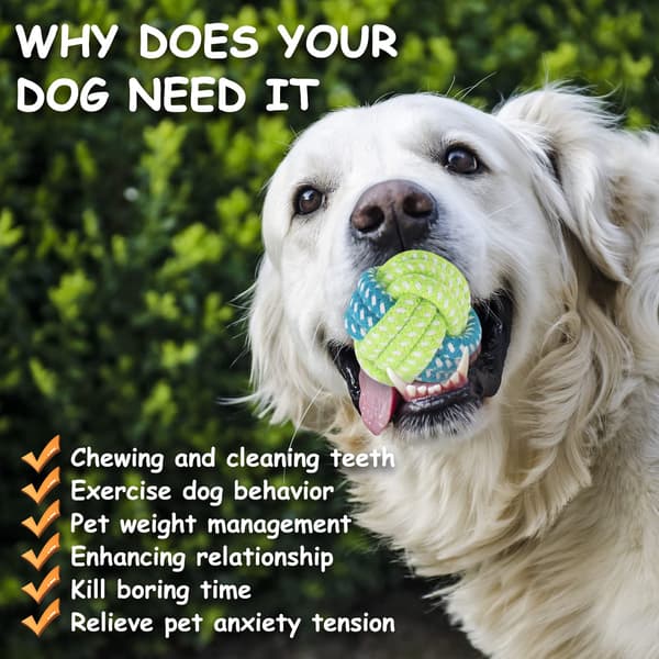 7 stk valpeleker, valpe tygger tau, liten hund tauleke