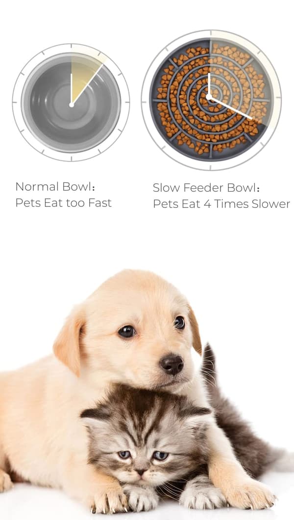 Anti-Glutton Hundeskål, Langsom Foderautomat til Kæledyr Kat/Hund Silikonegummi Skridsikker Base (Græsgrøn)