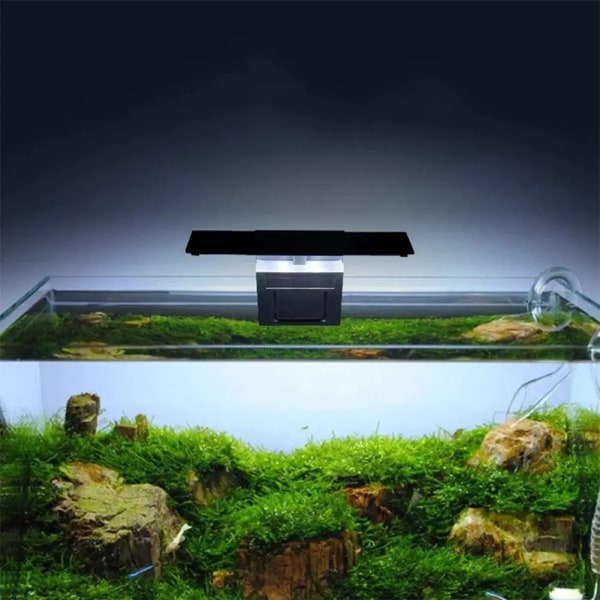 Akvariebelysning LED 6W Clip-on Plantelampe (Hvidt lys)