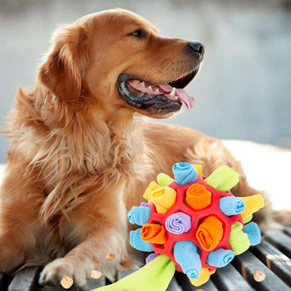 Snuffle Ball Legetøj - Hundeberigelse Snuffle Ball Hvalpelegetøj (Rød)