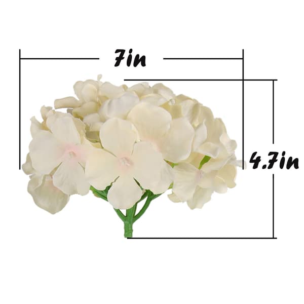 Jouluhydrangea Tekokukat 10 kpl (Samppanja) champagne