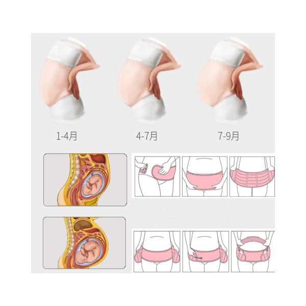 Graviditetsstøttebælte - Maternity & Postpartum Band - Lindrer ryg-, bækken- og hoftesmerter, fødsels- og genoptræningsrygstøtte, mavebælte, taljestøtte, M M