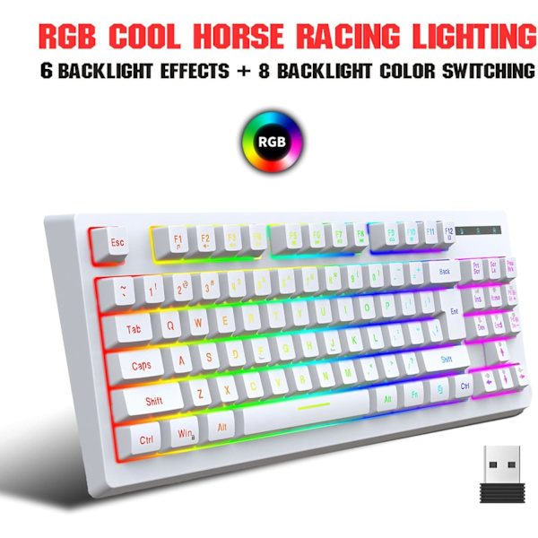 Spel tangentbord 87 tangenter 2.4G trådlös RGB termisk överföring 1800mAh / Windows kompatibel för arbetsdator och hemspel trådlöst tangentbord (vit) white