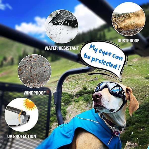 Hunde Goggles UV-beskyttelse Vandtæt Vindtæt Øjenbeskyttelse Til Store Mellemstore Hunde