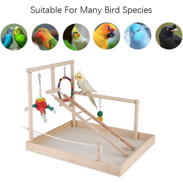 Parrot Puinen leikkikenttä, Bird Play Stand Cockatiel Wood Gym