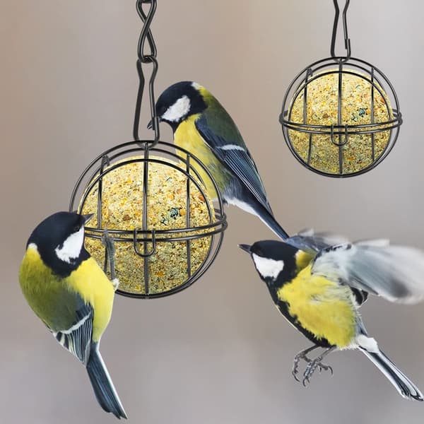 2 stk. Metal fedtkugle fuglefoderholder, hængende fuglefoderholder kugleformet med 2 S-formede kroge til udendørs have vilde fugle fink spurv robin