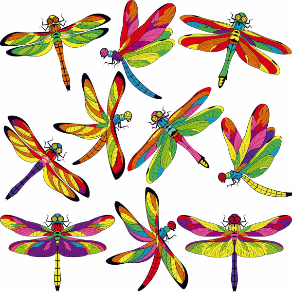 10 stykker Large Size Dragonfly Window Clings Anti-kollisjon