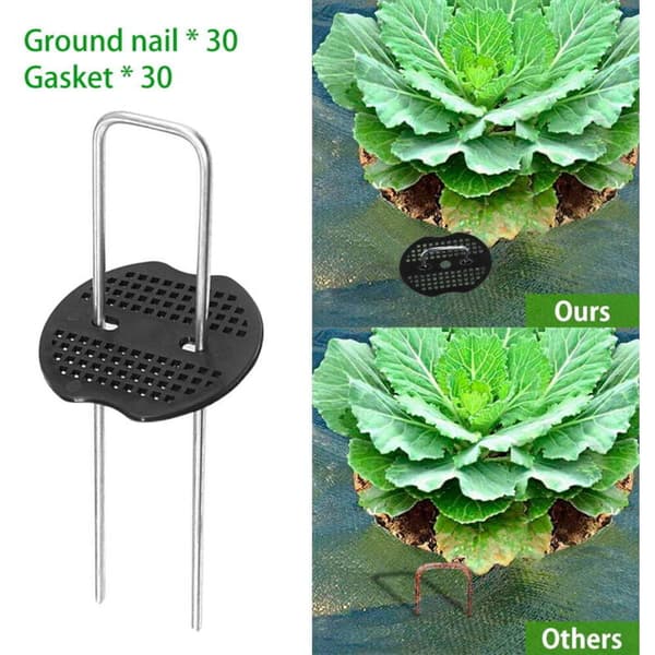 Förpackning med 30 galvaniserade stålspikar för ogräsbekämpning med plastlock. Bredd: 10 cm / Höjd: 5 cm