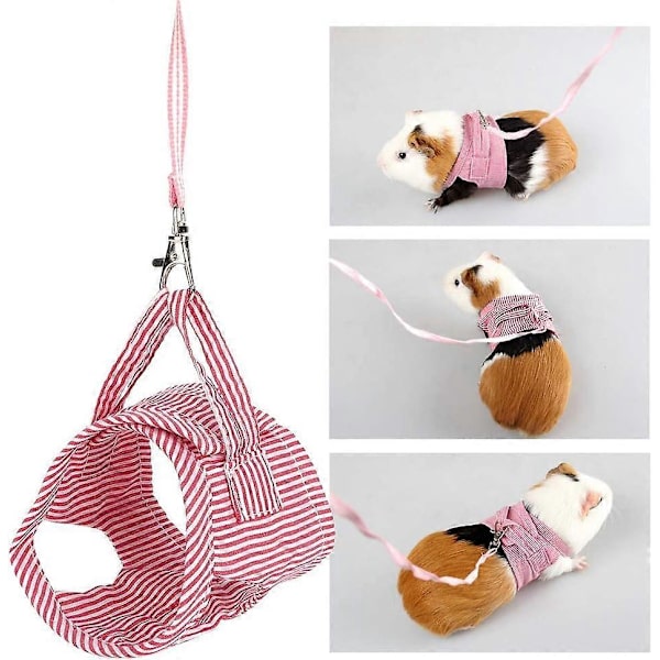 Hamsterkoppel, Hamstersele Frontsele, Litet husdjur