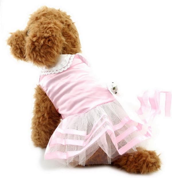Satin Blommig Husdjur Liten Hund Katt Prinsessklänning Randig, S, Rosa