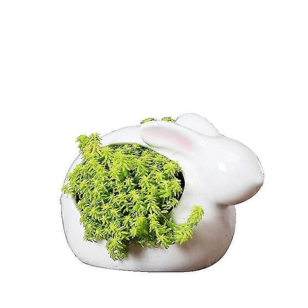Keramisk blomkruka för suckulenter, söt kaninform