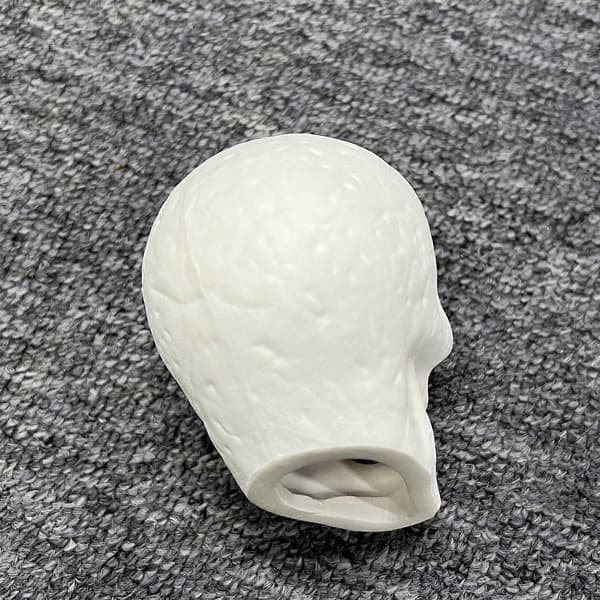 Simuleringskranie Ornament Horror Form Design Mode Dekorationer White