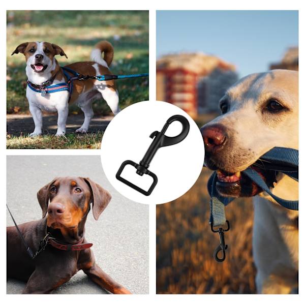 Drejelige karabinhager til hunde, kraftige hundeliner, 1 tomme sorte hundeliner, karabinhager til hundeliner, karabinhager til kæledyrsliner, sikkerhedskarabinhager til kæledyrsliner og halsbånd