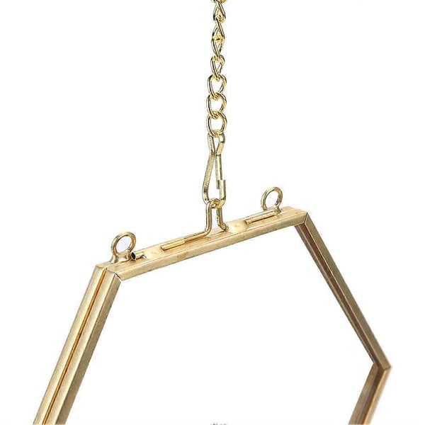 Geometrisk hexagonal glasdisplayhållare för torkade blommor och växtprover