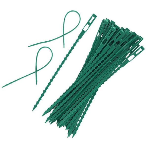 Förpackning med 50 justerbara, flexibla plastband för trädgårdsväxter. Bredd: 6 cm / Höjd: 1 cm