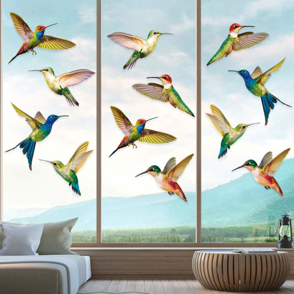 18 stycken Stora Hummingbird-fönster klamrar sig fast mot kollision
