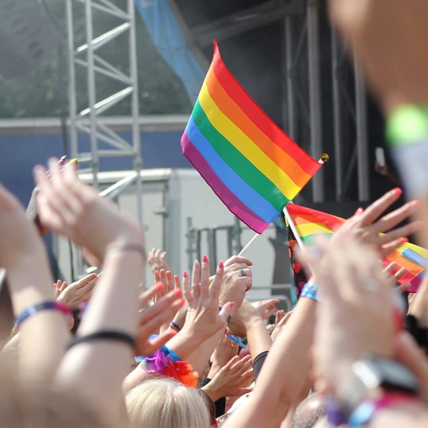 Pride-flag, håndviftede regnbueflag, Pride-flag til festparader, karnevaler, festivaldekorationer og festligheder (8,27 x 5,51 tommer, 10 stk.)