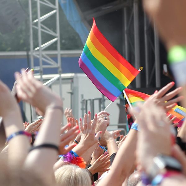 Stolthetsflaggor, handviftande regnbågsflaggor, stolthetsflaggor för festparader, karnevaler, festivaldekorationer och firanden (8,27x5,51 tum, 10 st)