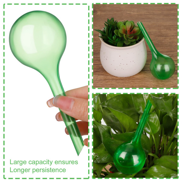 8-pak plantevandingsløg, 5 cm selvvandende kugler Små automatiske plantevander drypvandingsanordning, til planter indendørs udendørs (grøn)
