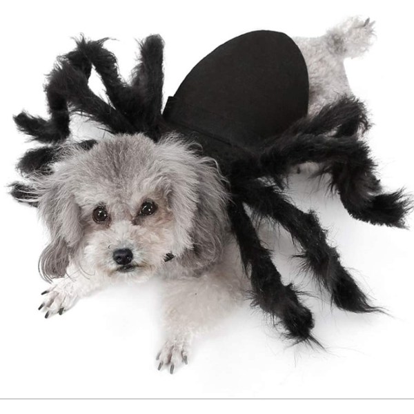 Halloween Spider Pet Kostymer, Hund
