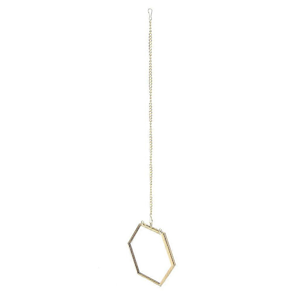 Geometrisk hexagonal glasdisplayhållare för torkade blommor och växtprover