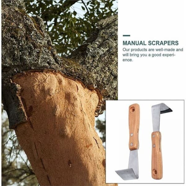 Barkskrapa för underhåll av fruktträd, 2-delat set. Längd: 9 cm / Bredd: 6 cm / Höjd: 20 cm