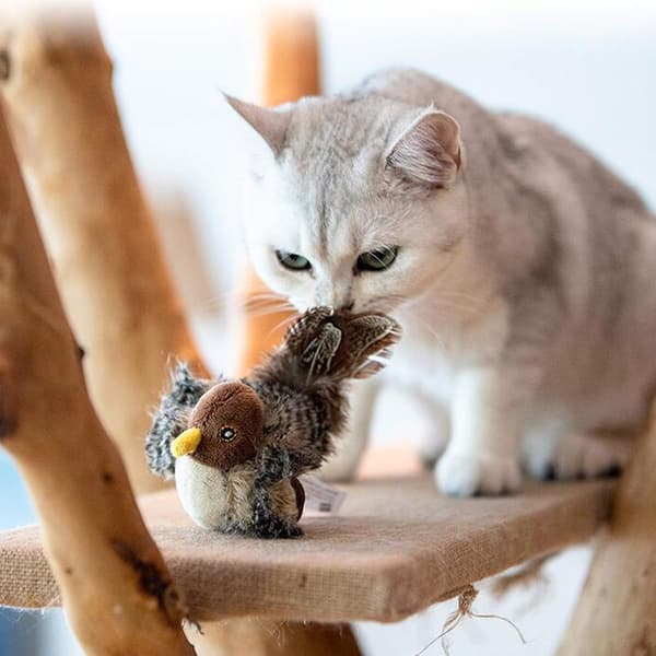 Interaktiva kattfjäderleksaker Melody Chaser Chirpy Bird Cat Toys