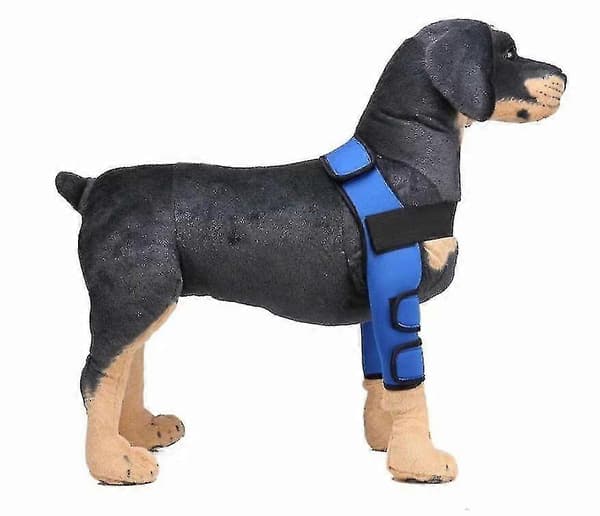 Hund Kirurgiskt Skydd, Knäskydd, Benskydd (Blå S)