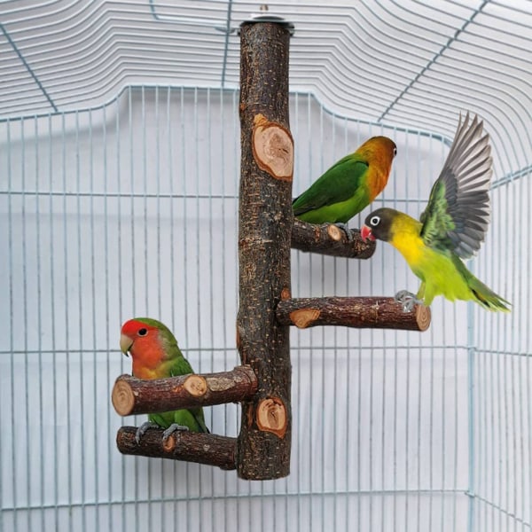 Fuglestand Pinde, Naturligt Træ Papegøje Pinde Fuglebur, Fuglebur Pinde til Papegøjer, Små Parakitter Cockatiels, Papegøjer, Kærlighedsfugle