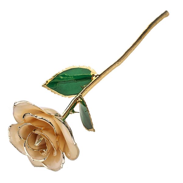 24K Gullbelagt Rose Gave til Bursdag Jubileum Valentinsdag