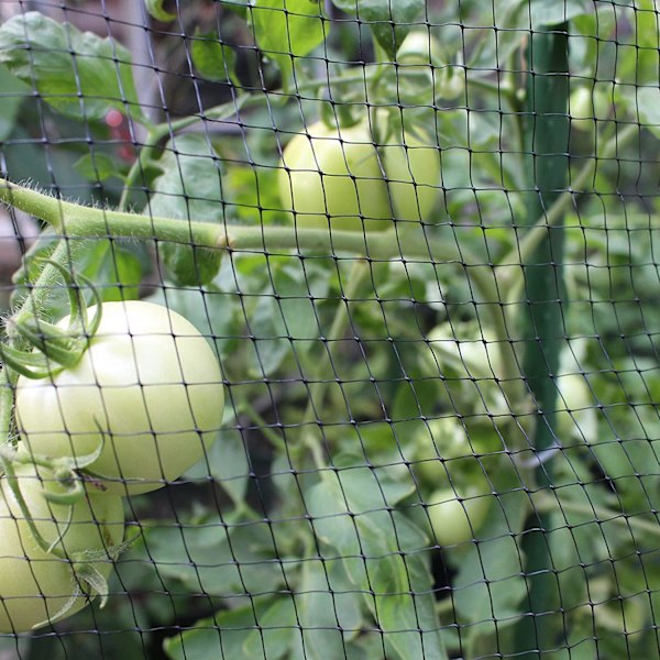 2x9m Anti Fugle Net Barriere Have Plante Net Ærte Frugt Net Dam Net til Have Gård Vingård Dam Hegn 2x9m