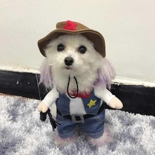 Sjovt Cowboy Jakkesæt - Super Søde Kostumer Til Små Hunde Katte