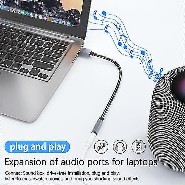 USB til 3,5 mm (hun) lydadapter Grå Grå