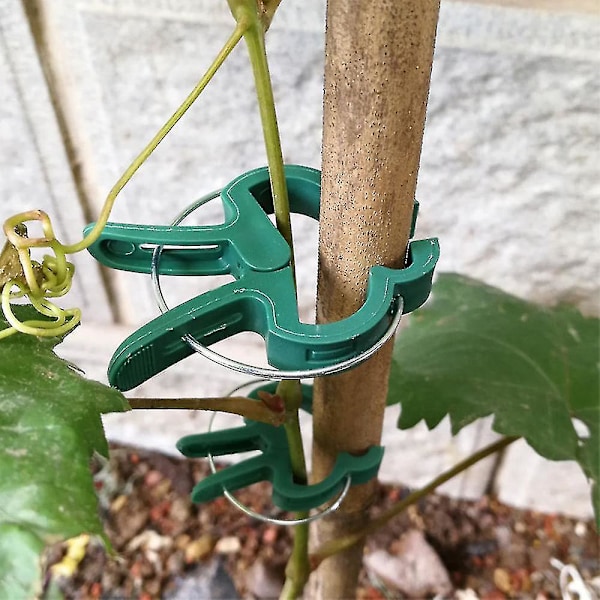 40 stk. Planteclips og Tomatklips til Haveplanter