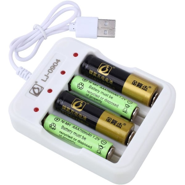 DC5V2A NiCd-NiMH Batteriladdare 4-Slot Intelligent Batteriladdare med LED 4ch Oberoende Laddning Laddningsadapter