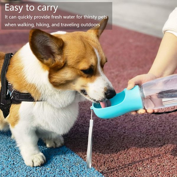 Vattenflaska för hund, läcksäker bärbar vattenbehållare, 550 ml (blå)
