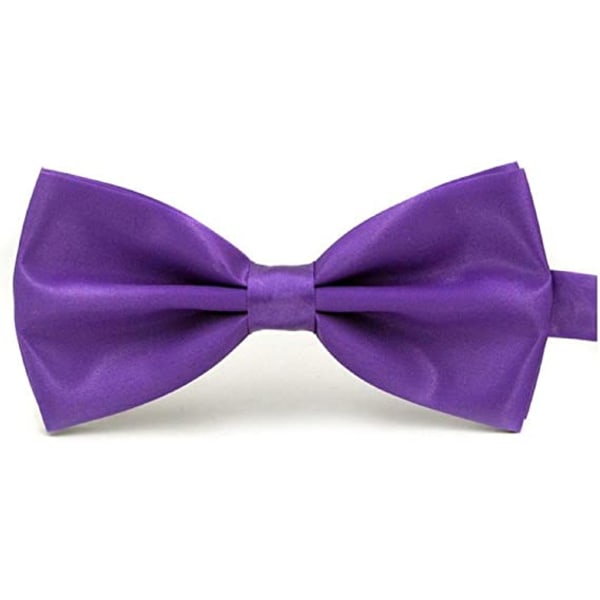Klassinen häärusetti solmio rusetti muoti säädettävä, violetti